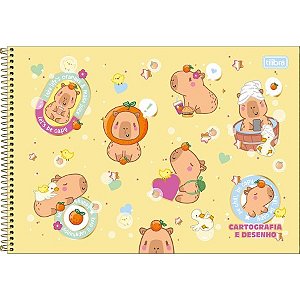 Caderno de Cartografia e Desenho Espiral Capa Dura Capyclub 80 Folhas Sortidos Tilibra