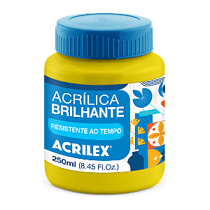 Tinta Acrilica Brilhante 250ml Acrilex