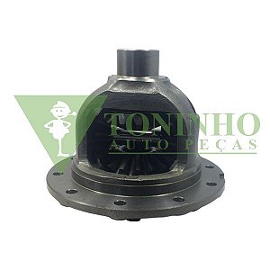 CAIXA SATELITE COMPLETA F1000/D20 - DANA 44/44-3 - (93275141)