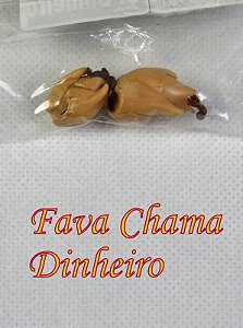 FAVA CHAMA DINHEIRO