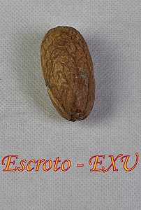ESCROTO - EXU