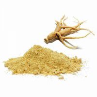 Ginseng em pó - 100 Gramas