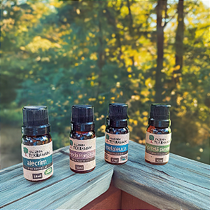 Kit Essencial - Melaleuca Orgânica + Lavanda Francesa importada + Alecrim importada  + Hortelã pim. importada