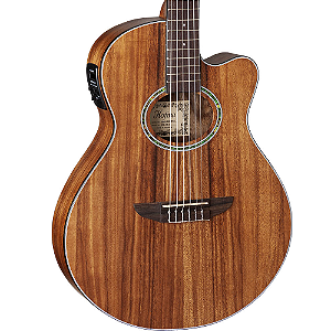 Violão Flat Hofma Hmn288 Stnt Nylon Natural satin escuro