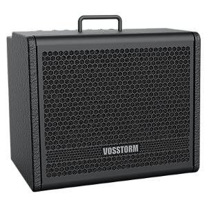 Amplificador Vosstorm GX10 40w 10 Pol. cubo p/ Guitarra