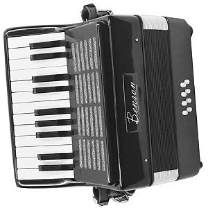 Acordeon Sanfona Benson 8 Baixos 22 Teclas Com Bag