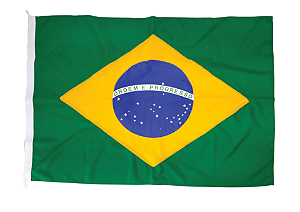 Bandeira do Brasil Oficial 2,5P