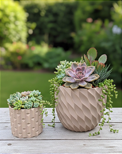 Kit 2 Vasos Decorativos para Suculentas e Plantas Design Geométrico Moderno