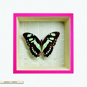 QUADRO CAIXA PINK – BORBOLETA