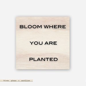Quadro Pinus M - Bloom where you are planted