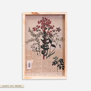 Quadro Box Canvas Botânica