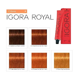 Schwarzkopf Igora Royal Coloração Cobres 60g - Escolha a sua cor!