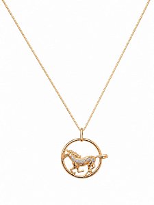 Colar Cavalo Cravejado – Banho em Ouro
