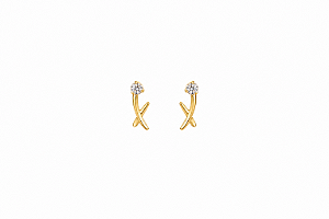 Brinco Delicado com Zircônia – Banho em Ouro 18K
