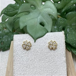 Brinco Trevinho Cravejado Semijoia Ouro