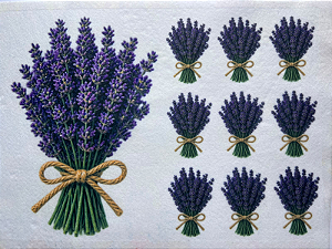 Lavanda e lavandinhas