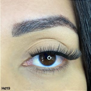 MODELO HD19 - BASIQUINHA