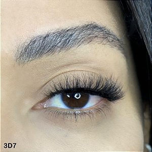 MODELO 3D7- 3D