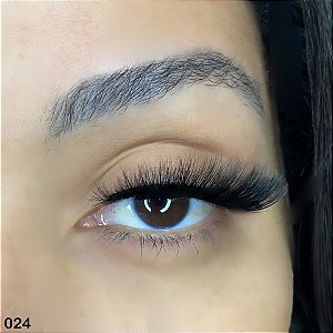 MODELO 024