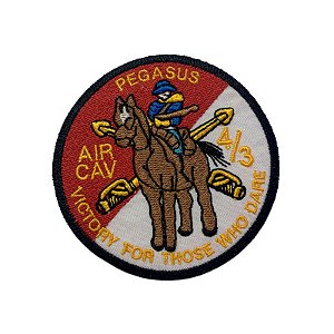 Bordado Termocolante Pegasus