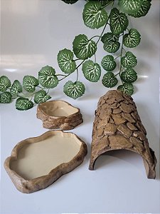 Kit Iguana-012, Artexotics