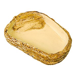 Comedor Bebedouro Jabuti Tartaruga Reptil Cm 023 Artexotics