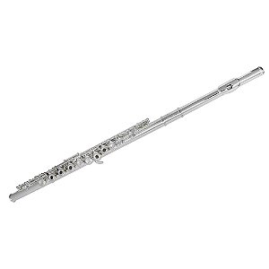 Flauta Transversal FL 210ES Prateada com Case New York