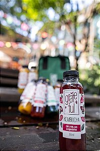 KOMBUCHA CHÁ PRETO, UVA E ESPECIARIAS