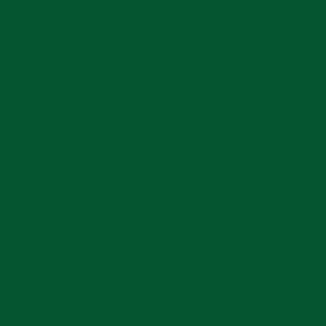 Tecido Tricoline Liso Peri Verde Natalino, 50cm x 1,50m