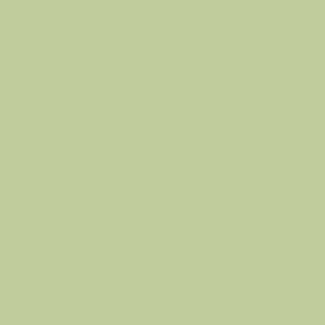 Tecido Tricoline Liso Verde Cana, 100% Algodão, 50cm x 1,50m