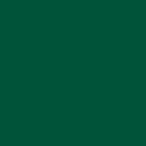 Tecido Tricoline Liso Peri Verde Musgo, 100%Alg 50cm x 1,50m