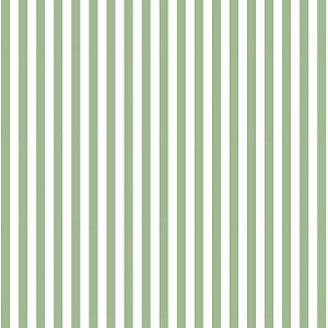 Tecido Tricoline Listrado Peri Verde Menta, 50cm x 1,50mt