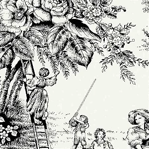 Tricoline Toile de Jouy Preto Fundo Off White, 50cm x 1,50mt