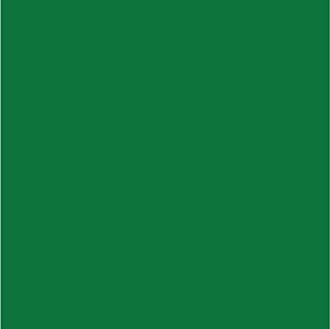 Feltro Liso Cor 06-Verde Bandeira 180gr 50cm X 1,40mt