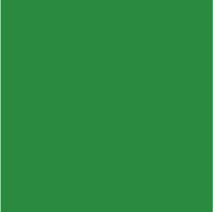 Feltro Liso Cor 13- Verde Bandeira Claro 180gr 50cm X 1,40mt