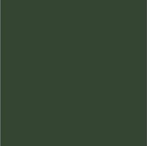 Feltro Liso Cor 24- Verde Musgo 180gr 50cm X 1,40mt