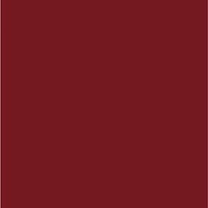 Feltro Liso Cor 26- Vermelho Queimado 180gr 50cm X 1,40mt