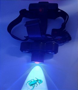 Lanterna Cabeça 1 Led Ultravioleta 2 Branco 395 Nanometros