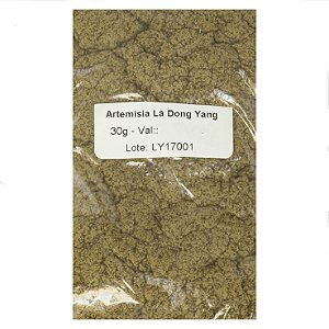 Moxa Lã de Artemísia Verde - Dong Yang - 30g