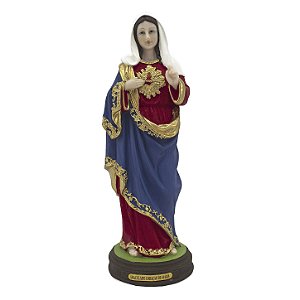 Imagem Imaculado Coração de Maria Resina 22 cm