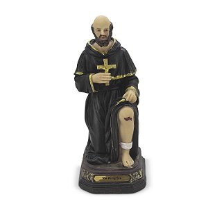Imagem São Peregrino Importado Resina 12,5 cm