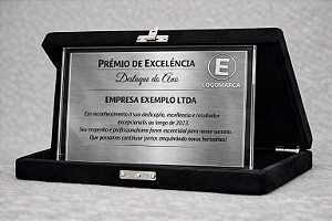 Placa de homenagem - Acrílico e aço escovado - 15x20cm