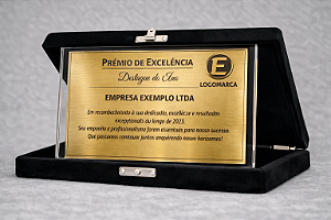 Placa de homenagem - Acrílico e aço escovado - 10x15cm