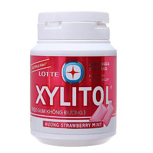 Chiclete Xylitol Morango 58 g