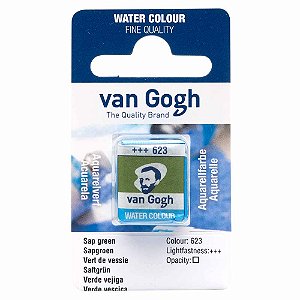 Aquarela Van Gogh Pastilha Sap Green 623