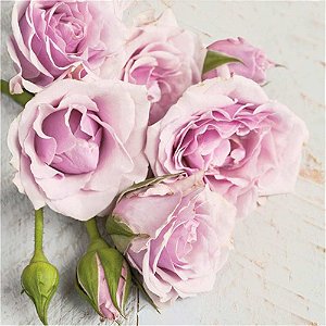 Guardanapo Decoupage Rosas da Manhã 33X33cm com 20 Unidades