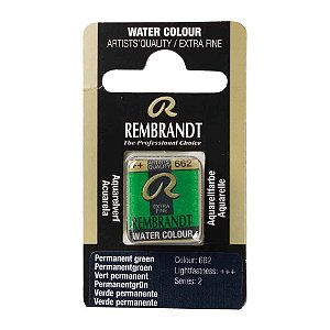 Aquarela em Pastilha Permanent Green 662 Rembrandt