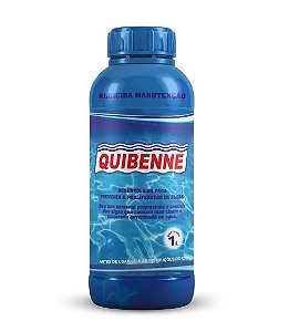 Algicida Manutenção 1L Quibenne