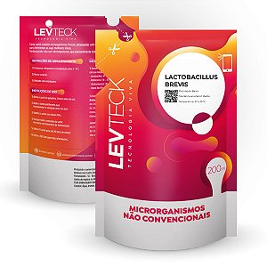 Lactobacillus Brevis - Levteck