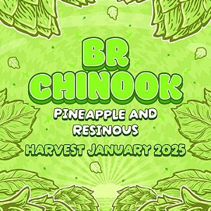 Lúpulo BR Chinook Start Hops pct 50g